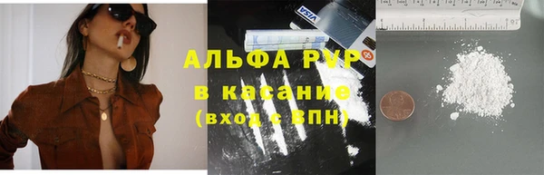 стафф Алзамай