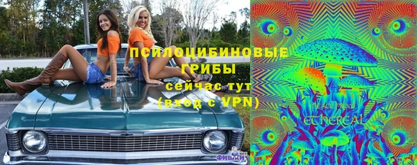 крисы Алексеевка
