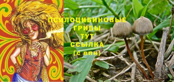 стафф Алзамай