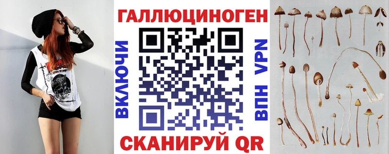 как найти наркотики Солигалич Псилоцибиновые грибы Psilocybe